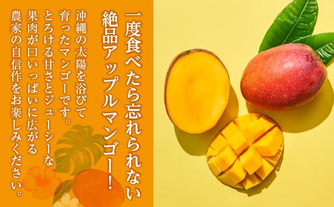 (先行受付)【2026年発送】アップルマンゴー 南城市 約1kg (2～3玉) 約1kg (2～3玉)