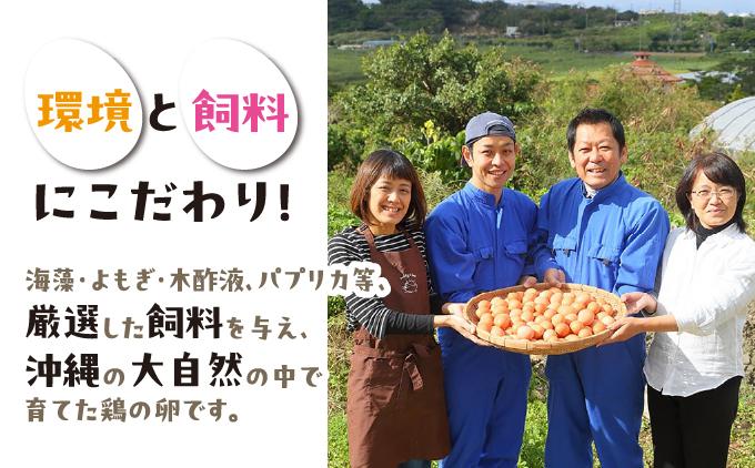 卵の黄身が掴めるほどの新鮮さ 美ら卵養鶏場の卵 120個【3ヶ月定期便】 120個【3ヶ月定期便】
