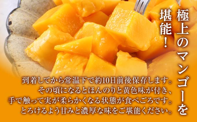 (先行受付)【2026年発送】キーツマンゴー 南城市 約1.5kg (1～2玉) 約1.5kg（1～2玉）