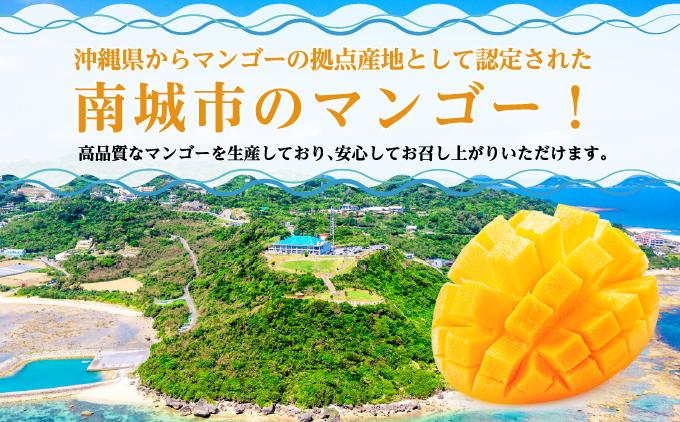 キーツマンゴー1kg  贈答用 １kg