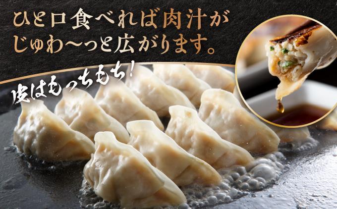 【美ら島あぐ～】餃子（20個入り／1パック×20個入り） 1P入 20個