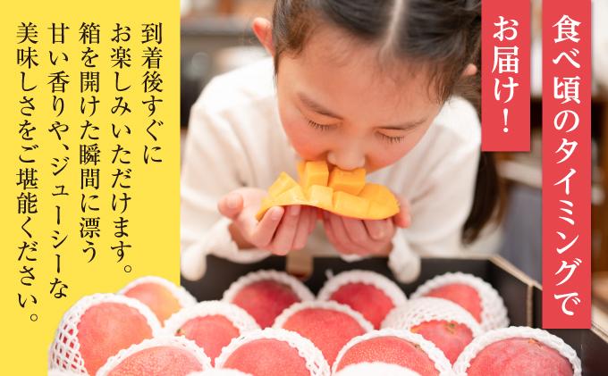 ★【2026年発送】＜訳あり・ご家庭用＞完熟アップルマンゴー約2kg（白箱）3玉～7玉