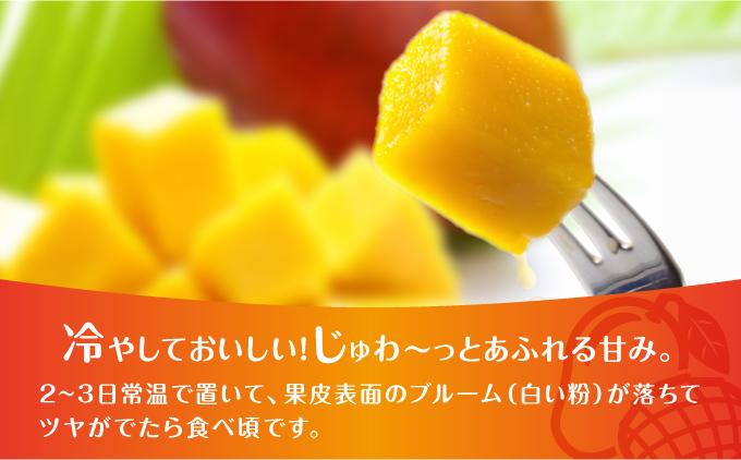 (2026年発送・先行予約)【マンゴーfarm新】 沖縄県南城市産マンゴー化粧箱2kg 化粧箱2kg（4~6玉）