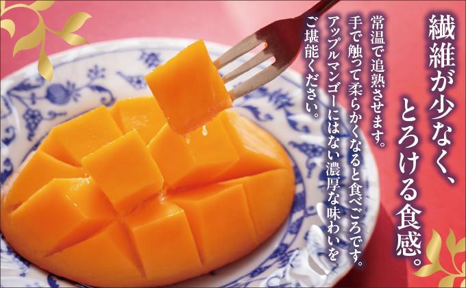 【2026年発送】＜訳あり・ご家庭用＞幻のキーツマンゴー約2kg（白箱）2玉～7玉 訳あり2kg (2~7玉/白箱)