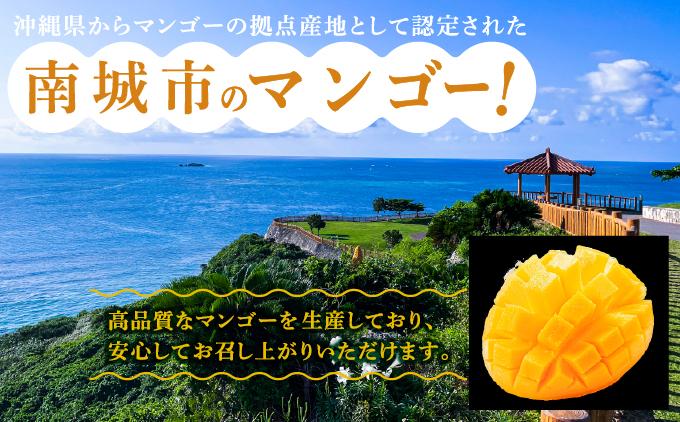 【2026年発送】高平農園の完熟アップルマンゴー【家庭用】 1kg(2~3玉)