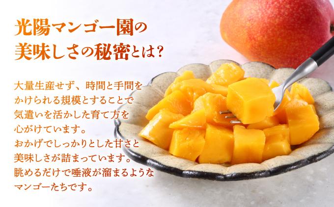 ＜先行予約・数量限定＞アップルマンゴー 秀品（1kg）KM001 秀品（1kg）