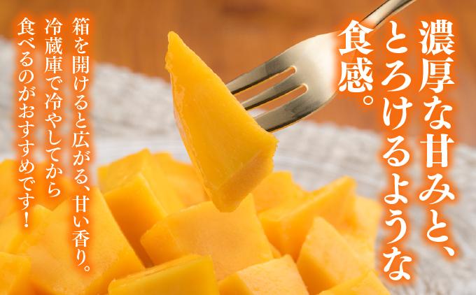 アップルマンゴー上品 約1.8kg（3～5玉）化粧箱