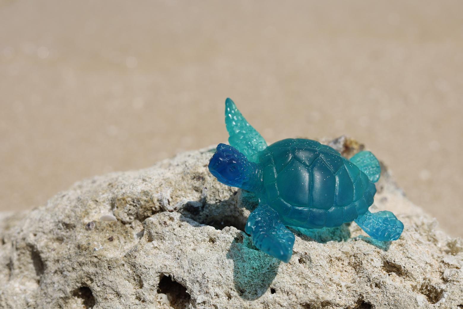 カメフィギュア[DP20]