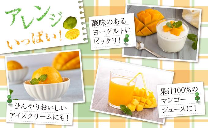 (先行受付)【2026年発送】キーツマンゴー 南城市 約800g～1kg（1～2玉） 約800g～1kg（1～2玉）