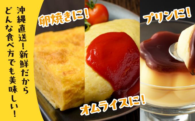 卵の黄身が掴めるほどの新鮮さ 美ら卵養鶏場の卵 40個【6ヶ月定期便】 40個【6ヶ月定期便】