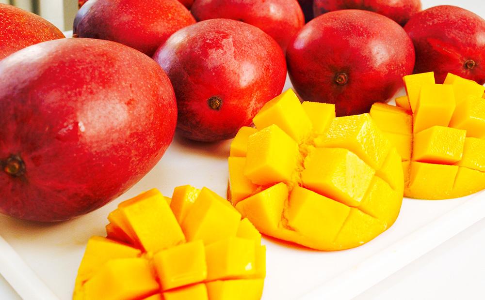 【2026年発送・先行予約】ご家庭用ご褒美アップルマンゴー　2kg