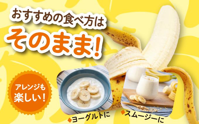 高原の駅なんじょうバナナ3～4房（12品種から旬のものを詰合せ）   I  バナナ 詰め合わせ 旬フルーツ 果物  沖縄県 南城市