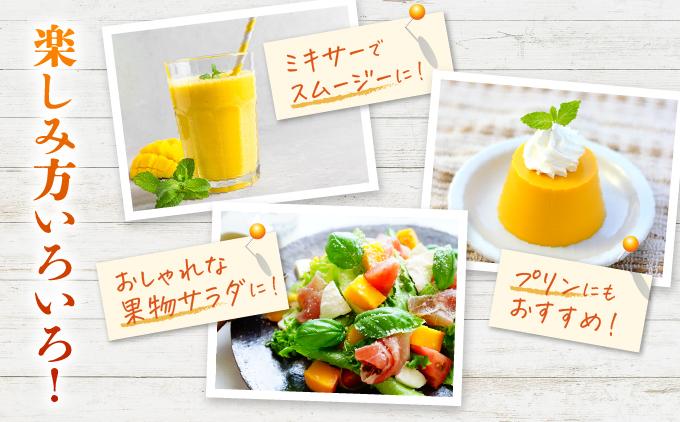 ＜先行予約・数量限定＞アップルマンゴー 良品（1kg）|マンゴー 限定 良品 沖縄県 南城市 1kg 冷蔵 予約 先行受付 アップルマンゴー 送料無料 KM003 良品（1kg）