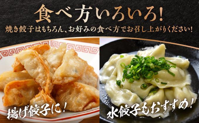 【美ら島あぐ～】餃子（20個入り／1パック×20個入り） 1P入 20個