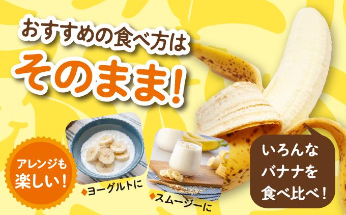 高原の駅なんじょうバナナ3～4房（12品種から旬のものを詰合せ）