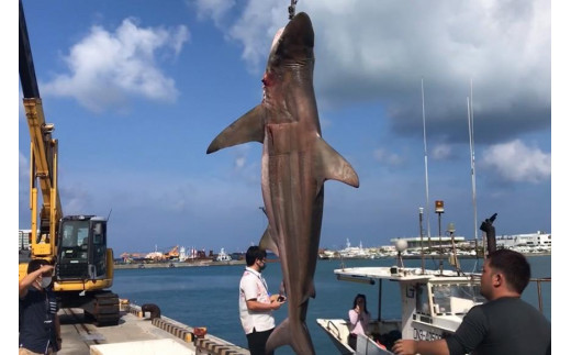 【cafooca /カフーカ】名刺・カードケース/BLACK BLACK