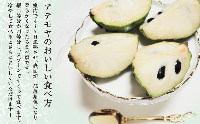 ＜先行受付＞【数量限定】南城市で育った森のアイスクリーム：アテモヤ（２kg箱詰め）   I  アイスクリーム デザート 2000g ２kg  沖縄県 南城市