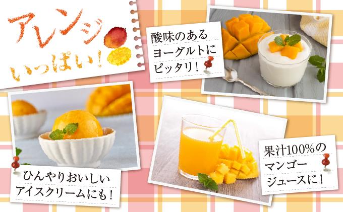 (先行受付)【2026年発送】アップルマンゴー 南城市 約1kg (2～3玉) 約1kg (2～3玉)