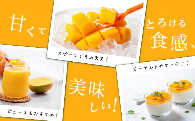 キーツマンゴー1kg  贈答用 １kg