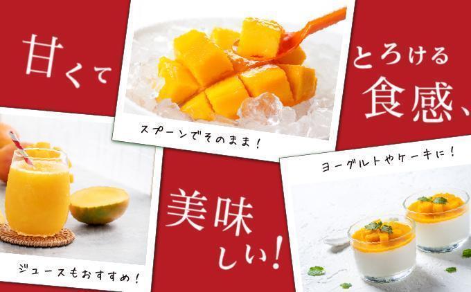 マンゴー2kg　家庭用 マンゴー2kg　家庭用