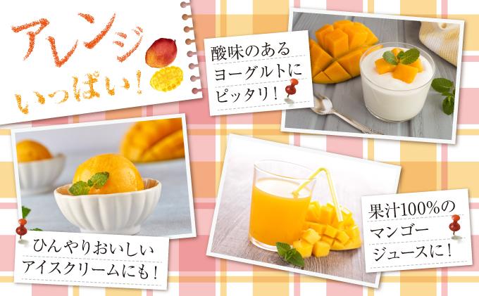 (先行受付)【2026年発送】アップルマンゴー 南城市 約2kg (4～5玉) 約2kg (4～5玉)