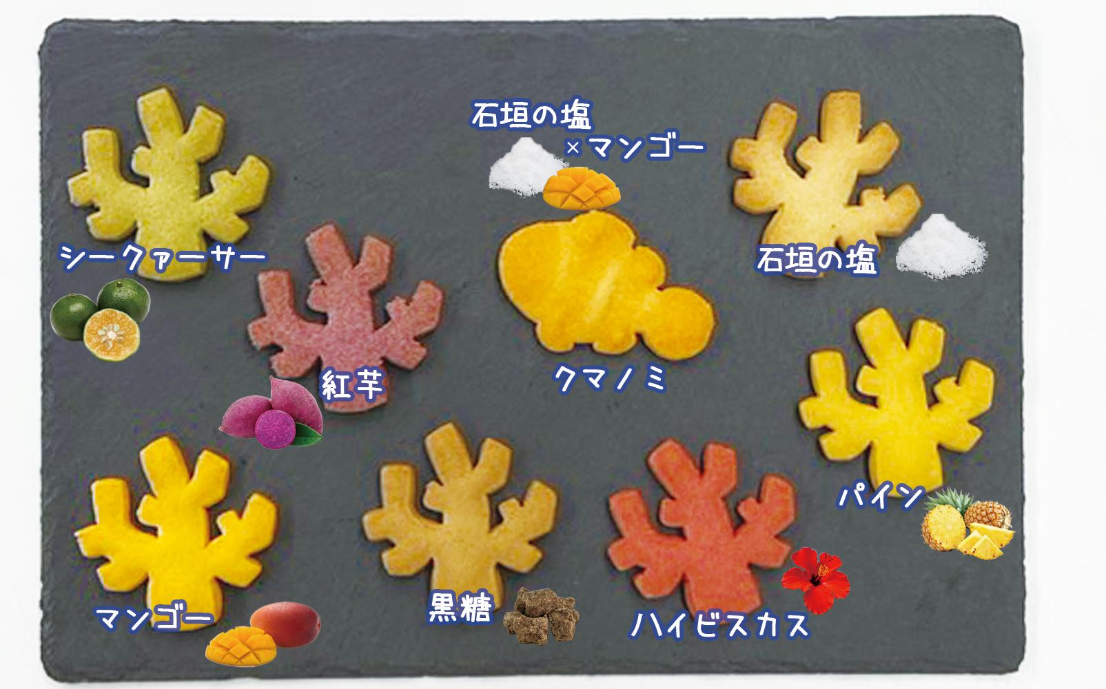 海のかけらクッキー 1箱8個入り2箱セット