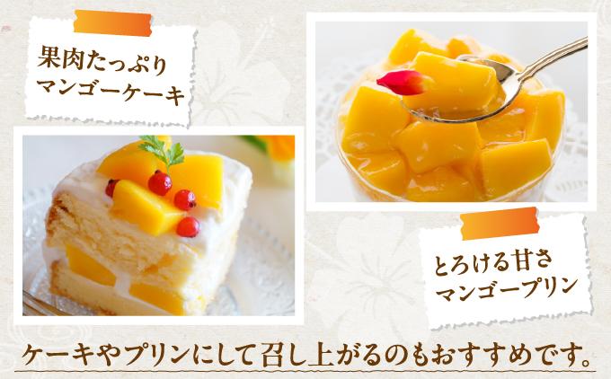 【先行予約】糖度15度以上！最高級プレミアムマンゴー約1kg（2玉）