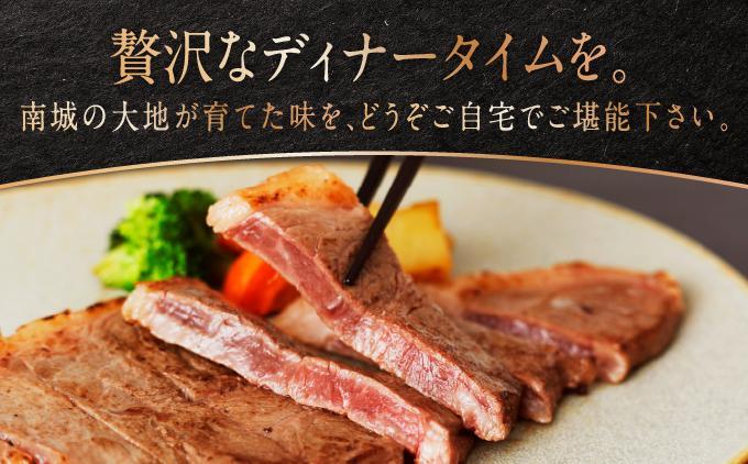 《極上の味わい》和牛サーロイン 約150～200g×1枚 なんじょう和牛|サーロインステーキ 黒毛和牛 ステーキ 真空パックでお届け 沖縄県 南城市 牛肉 送料無料【TM0202】 1枚