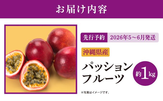 【先行予約】2026年5～6月発送　南城市産パッションフルーツ　約1kg