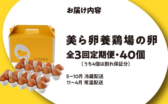 卵の黄身が掴めるほどの新鮮さ 美ら卵養鶏場の卵 40個【3ヶ月定期便】 40個【3ヶ月定期便】