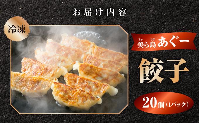 【美ら島あぐ～】餃子（20個入り／1パック×20個入り） 1P入 20個
