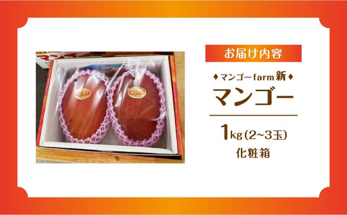 (2026年発送・先行予約)【マンゴーfarm新】 沖縄県南城市産マンゴー化粧箱1kg 化粧箱1kg（2~3玉）