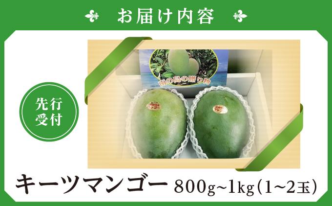 (先行受付)【2026年発送】キーツマンゴー 南城市 約800g～1kg（1～2玉） 約800g～1kg（1～2玉）