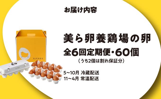 卵の黄身が掴めるほどの新鮮さ 美ら卵養鶏場の卵 60個【6ヶ月定期便】 60個【6ヶ月定期便】