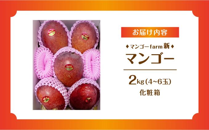 (2026年発送・先行予約)【マンゴーfarm新】 沖縄県南城市産マンゴー化粧箱2kg 化粧箱2kg（4~6玉）