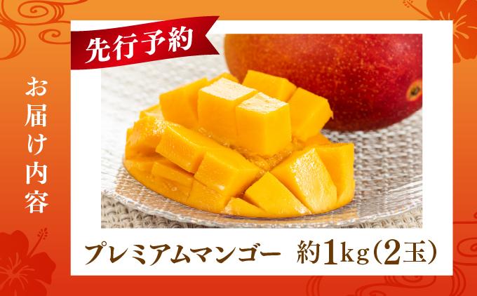 【先行予約】糖度15度以上！最高級プレミアムマンゴー約1kg（2玉）