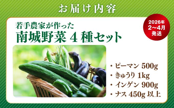 【先行予約】若手農家が作る南城野菜セット
