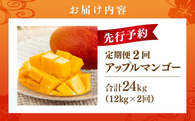 【先行予約】アップルマンゴー24kg　2回に分けて発送