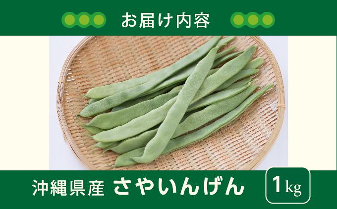 【先行予約】サヤインゲン（ビックリジャンボ）1kg 1kg