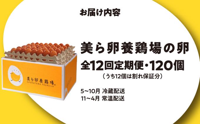 卵の黄身が掴めるほどの新鮮さ 美ら卵養鶏場の卵 120個【12ヶ月定期便】 120個【12ヶ月定期便】