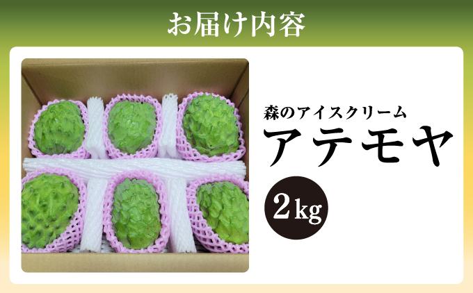 ＜先行受付＞【数量限定】南城市で育った森のアイスクリーム：アテモヤ（２kg箱詰め）   I  アイスクリーム デザート 2000g ２kg  沖縄県 南城市
