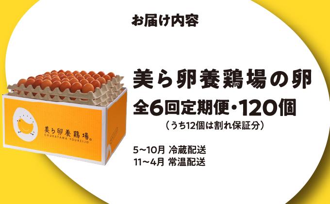 卵の黄身が掴めるほどの新鮮さ 美ら卵養鶏場の卵 120個【6ヶ月定期便】 120個【6ヶ月定期便】