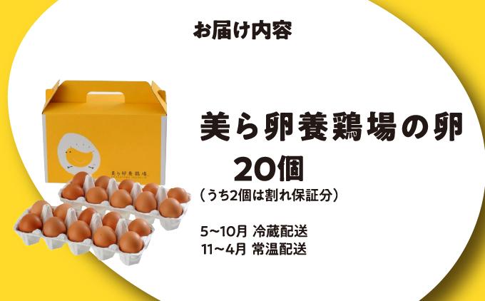 卵の黄身が掴めるほどの新鮮さ 美ら卵養鶏場の卵 40個【順次配送】 40個【順次配送】