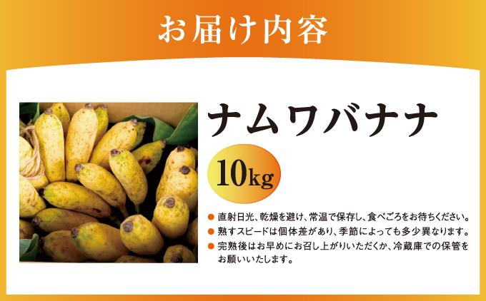 バナナ 南城市 ナムワバナナ 10kg 10kg