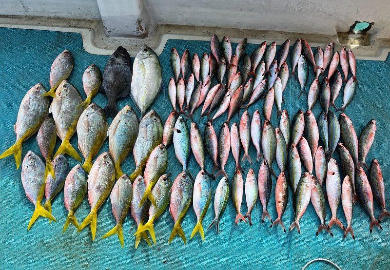 成香丸釣り体験半日貸切チケット