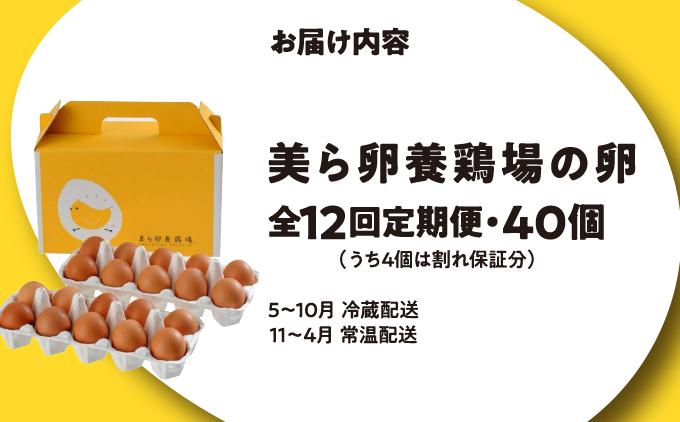 卵の黄身が掴めるほどの新鮮さ 美ら卵養鶏場の卵 40個【12ヶ月定期便】 40個【12ヶ月定期便】