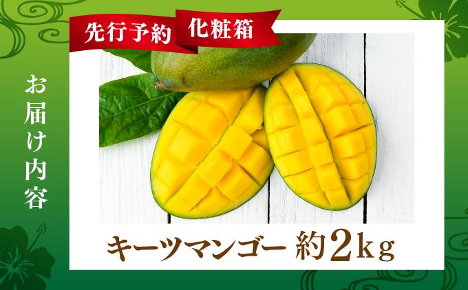 【先行予約】マンゴー好き必見！キーツマンゴー　約2kg  化粧箱