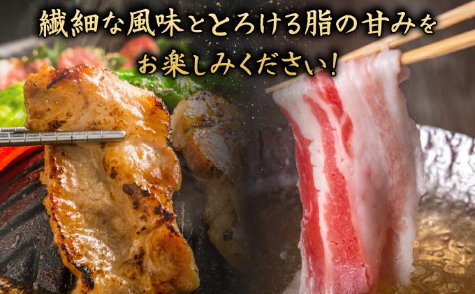 【6ヶ月連続】まつもと自慢のあぐー豚しゃぶしゃぶセット（2セット） 【6ヶ月連続】2セット