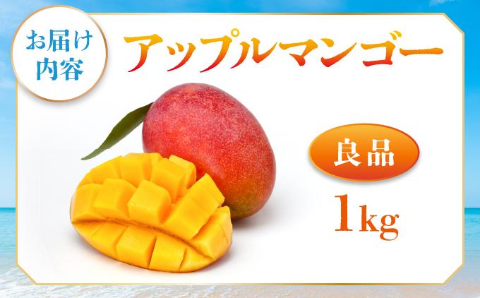 ＜先行予約・数量限定＞アップルマンゴー 良品（1kg）|マンゴー 限定 良品 沖縄県 南城市 1kg 冷蔵 予約 先行受付 アップルマンゴー 送料無料 KM003 良品（1kg）