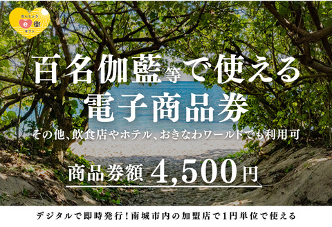 【ANAの旅先納税】電子商品券 なんじょうe街ギフト（4,500円分） 4,500円分